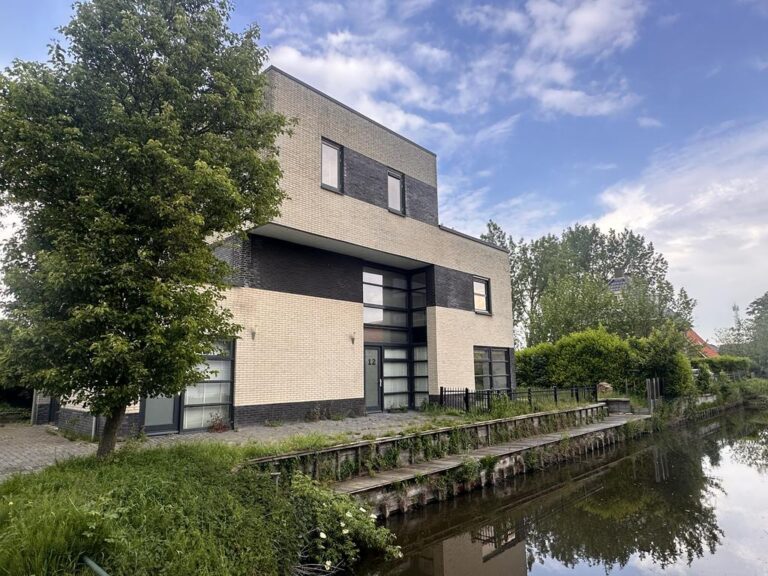 Engelwortel 12