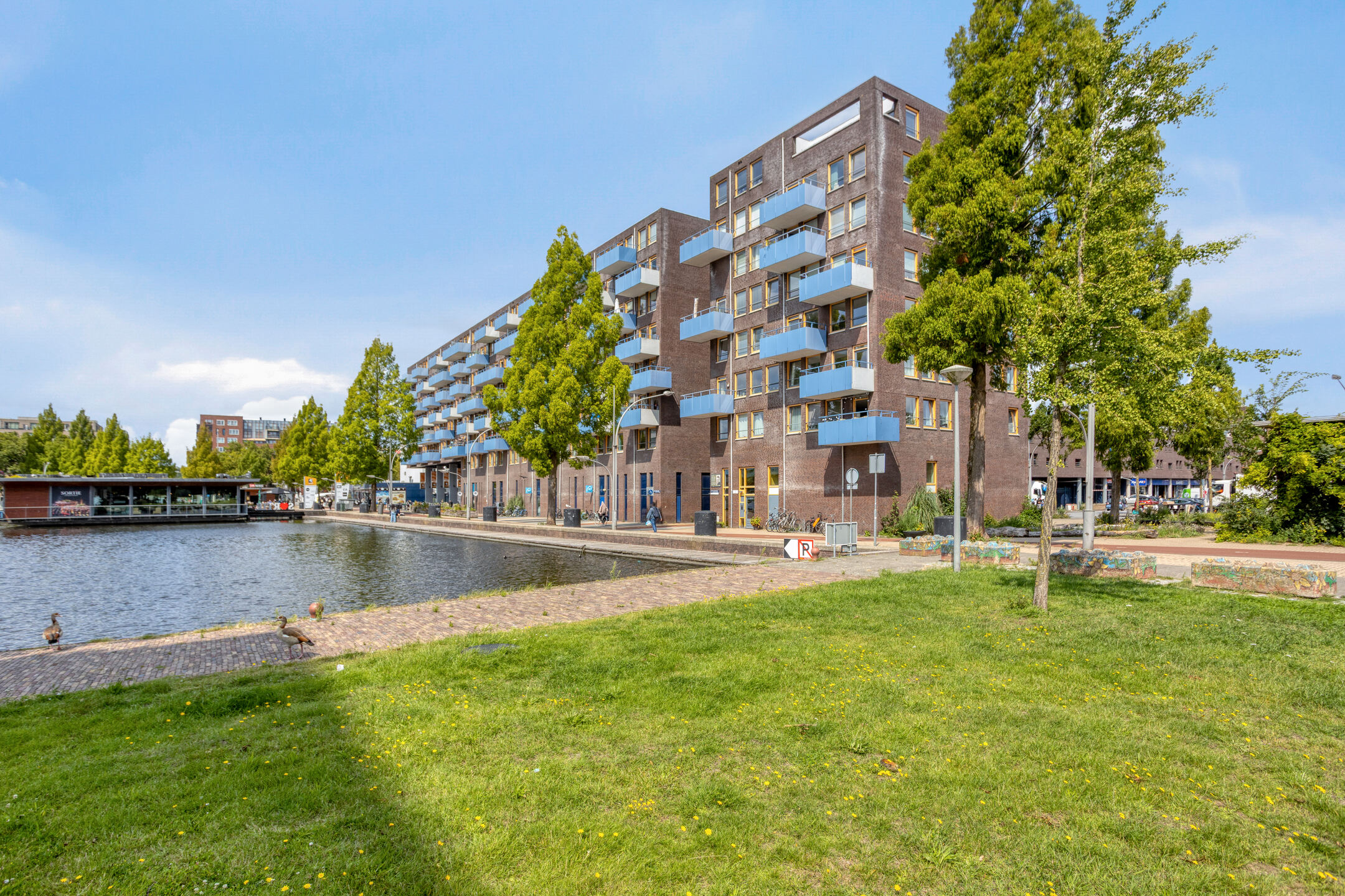 https://verkoopmakelaarbas.nl/wp-content/uploads/2026/07/261711554.jpg