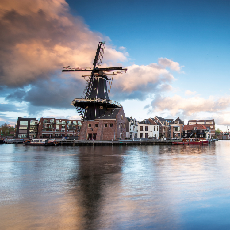 haarlem